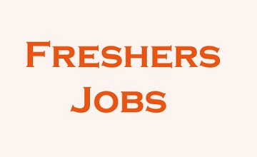 Image result for Fresher job