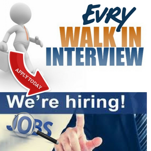Walkin for IT Freshers Freshers Openings Latest Job Openings for