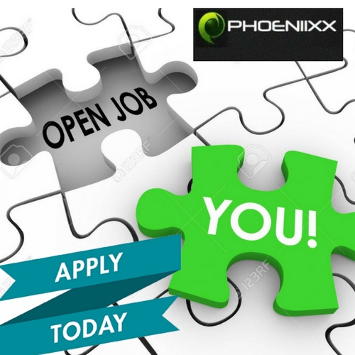 Web Designer / Web Developer / Front End Developer
