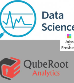 Data Engineer