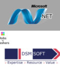 Dot Net Developer