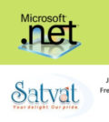Dot Net Developer