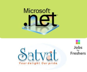 Dot Net Developer