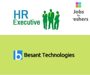 HR Executive