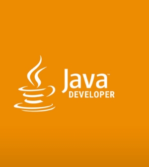 Java Developer