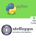 Python Developer