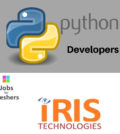 Python developers