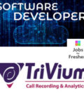 Software Developer