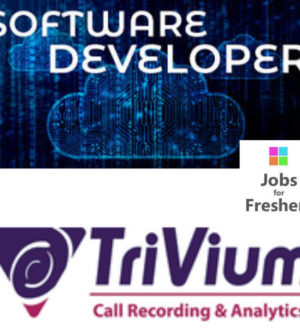 Software Developer