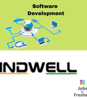 Software Developer