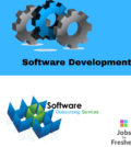 Software Developer