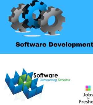 Software Developer