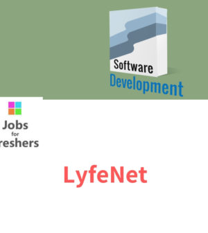 Software Developer