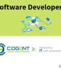 Software Developer