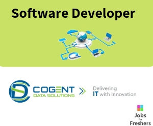 Software Developer