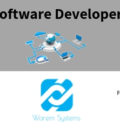 Software Developer