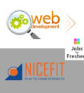 Web Developer