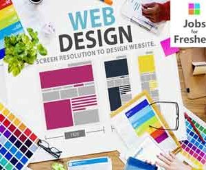 Web Designing Jobs for Freshers