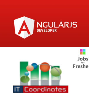 Angularjs Developer