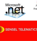 Dot Net Developer
