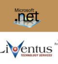 Dot Net Developer