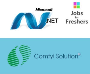 Dot Net Developer