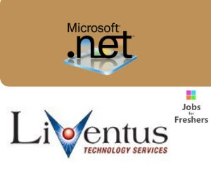 Dot Net Developer