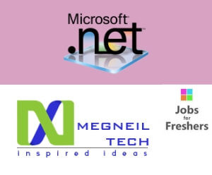 Dot Net Developer