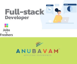 Full Stack Developer