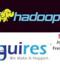 Hadoop Developer