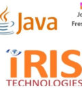 Java Developer
