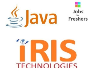 Java Developer