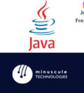 Java Developer