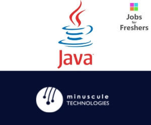 Java Developer