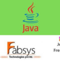 Java Developer
