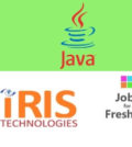 Java Developer