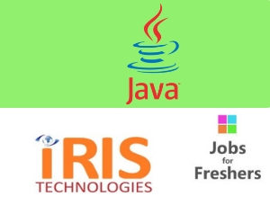 Java Developer