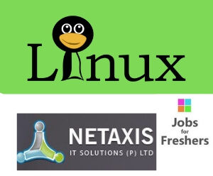 Linux Developer
