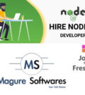 Node JS Developer