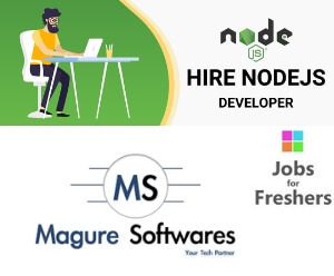 Node JS Developer