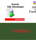 Oracle Developer