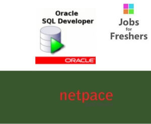 Oracle Developer