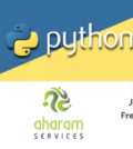 Python Developer