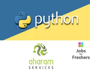 Python Developer