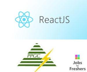React JS Developer