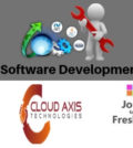 Software Developer