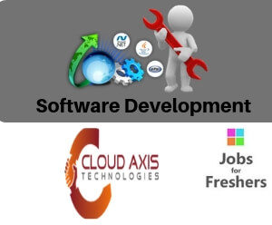 Software Developer