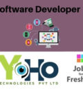 Software Developer