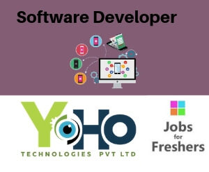 Software Developer