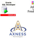 Software Developer